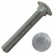 Hot Dipped Galvanized Carriage Bolt